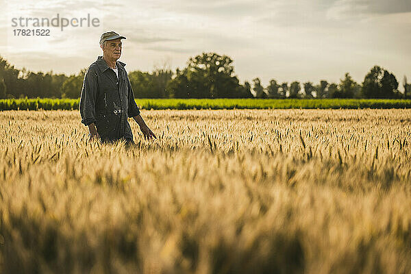 Älterer Bauer spaziert in der Weizenfarm
