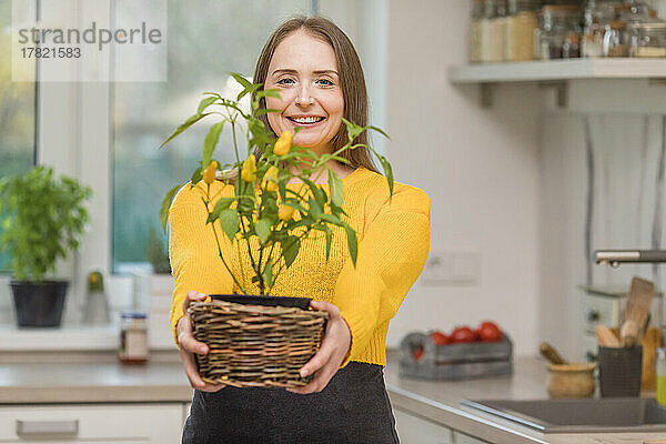 Lächelnde Frau hält Chili-Pfefferpflanze in der Küche