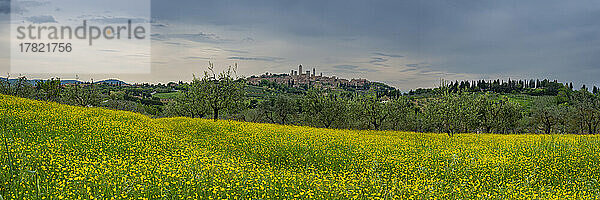 Italien  Toskana  San Gimignano  Panoramablick auf die Sommerwiese mit der Stadt im fernen Hintergrund