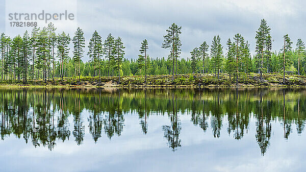 Schweden  Dalarna  Bäume spiegeln sich auf der Oberfläche eines klaren Sees