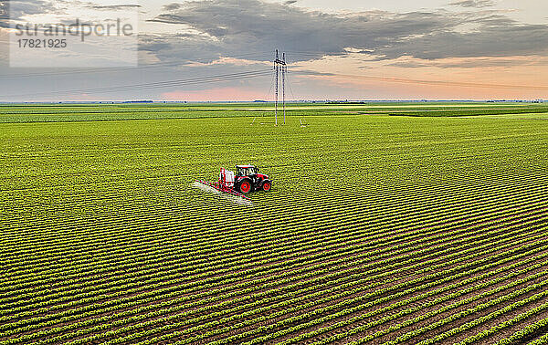 Pestizidsprühtraktor auf Sojabohnenfeld bei Sonnenuntergang