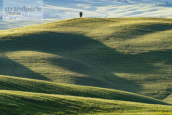 Italien  Toskana  Pienza  Blick auf die grünen Hügel des Val D'Orcia im Frühling