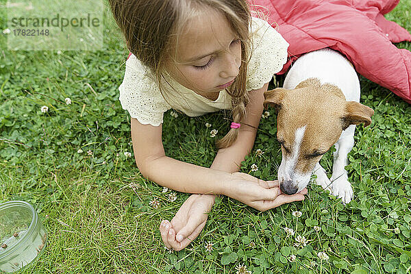 Mädchen füttert Hund  der im Park liegt