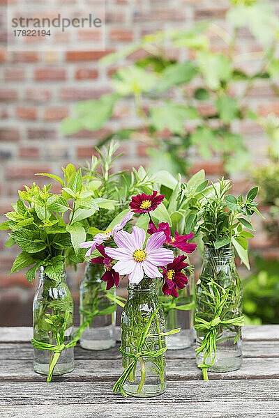 Frische Kräuter und Blumen in dekorierten Glasflaschen stehen auf einem Balkontisch