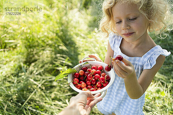 Blond girl with colander of fresh cherries