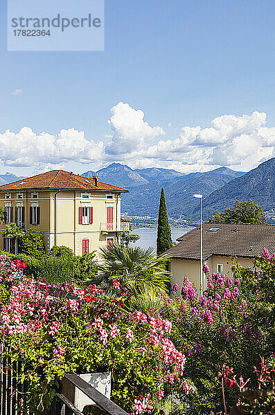 Schweiz  Tessin  Locarno  historische Villa mit blühenden Büschen im Vordergrund und Bergen im Hintergrund