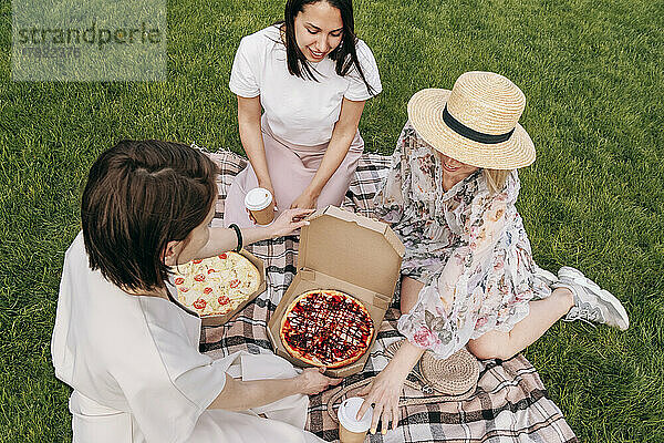 Freunde genießen Pizza auf der Picknickdecke im Park