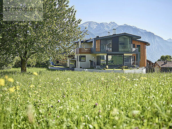 Österreich  Tirol  Frühlingswiese vor einer modernen Villa in den Bergen