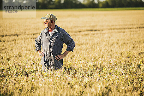 Bauer steht mit in die Seite gestemmten Armen auf dem Weizenfeld