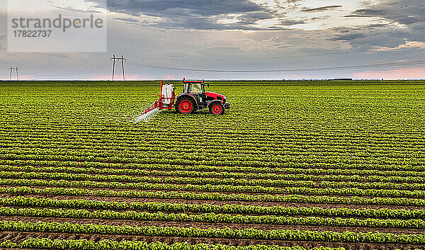 Tractor spraying pesticide on soybean crops at sunset