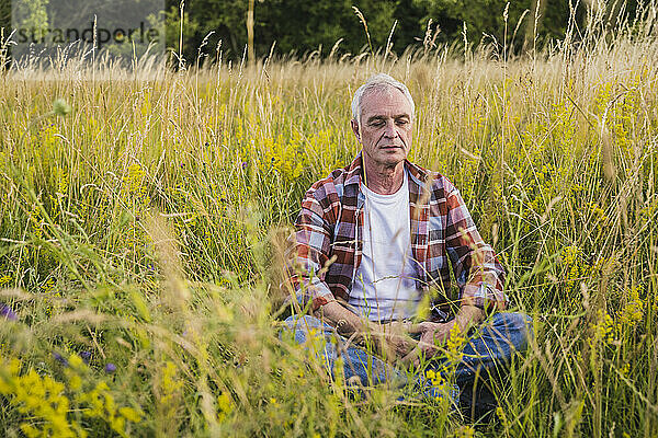 Älterer Bauer sitzt mit geschlossenen Augen inmitten von Pflanzen