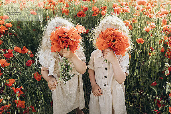 Mädchen mit Schwester versteckt Gesicht mit Blume im Mohnfeld