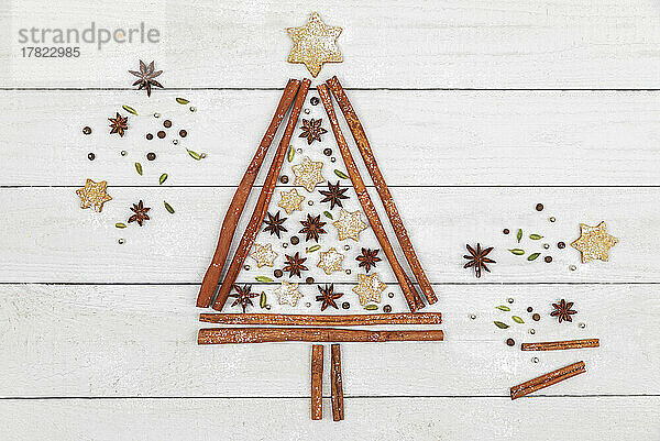 Studio shot of Christmas tree shape made of various spices and cookies