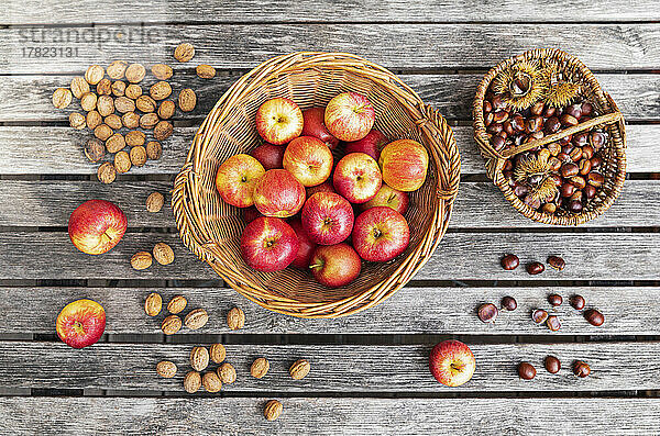 Apples  walnuts and chestnuts picked up during autumn garden harvest