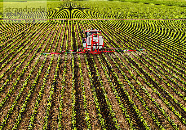 Pesticide spraying tractor on soybean field