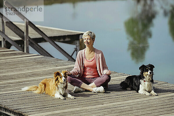 Lächelnde reife Frau mit geschlossenen Augen meditiert inmitten von Hunden am Pier