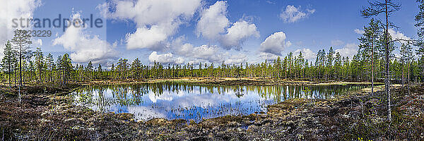 Schweden  Dalarna  Panoramablick auf den klaren See und den umliegenden Wald