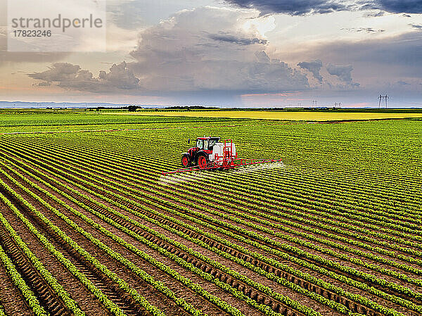 Traktor versprüht Pestizide auf Sojabohnenfeld
