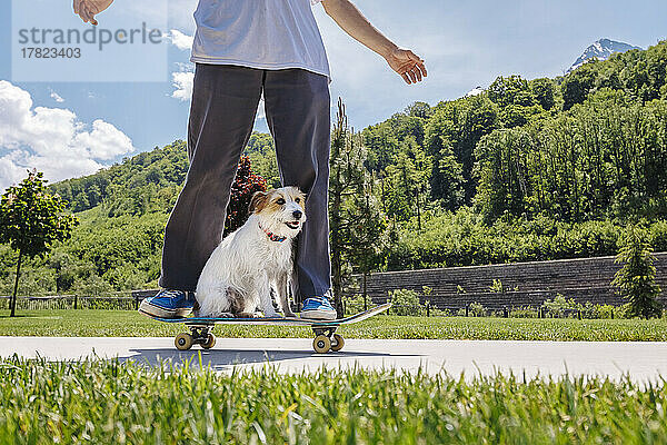 Mann fährt an sonnigem Tag mit Hund im Park Skateboard