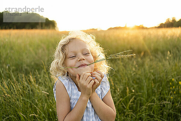 Lächelndes blondes Mädchen mit Gras im Mund  das auf dem Feld genießt