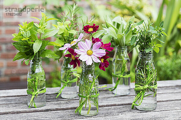 Frische Kräuter und Blumen in dekorierten Glasflaschen stehen auf einem Balkontisch