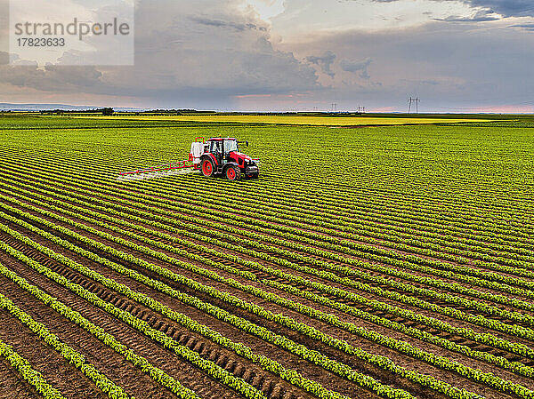 Tractor spraying insecticide on soybean crops