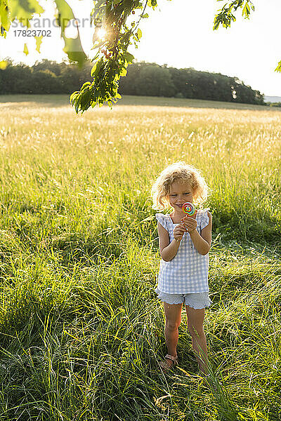 Smiling girl holding lollipop standing on grass