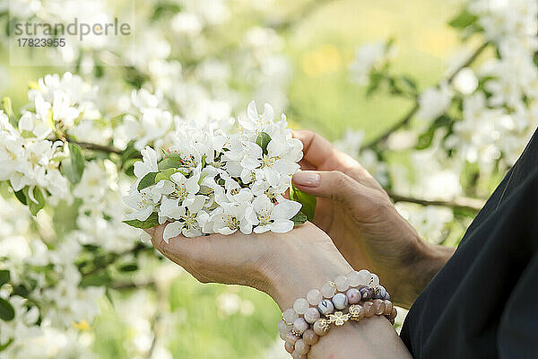 Hände einer Frau mit weißen Blumen