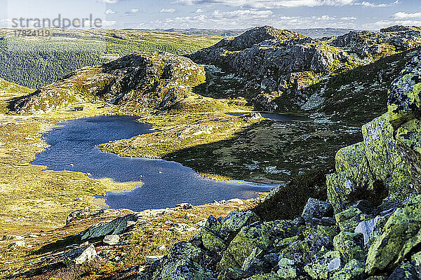 Norwegen  Vestfold und Telemark  Landschaft rund um den Berg Gaustatoppen