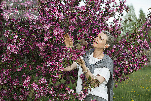 Lächelnde Frau blickt auf rosa Blüten am Apfelbaum