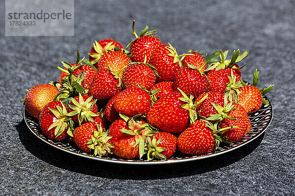 Teller mit frisch gepflückten Erdbeeren