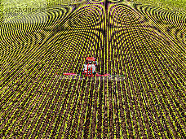 Traktor mit Pestizidsprühgerät auf Sojabohnenfeld