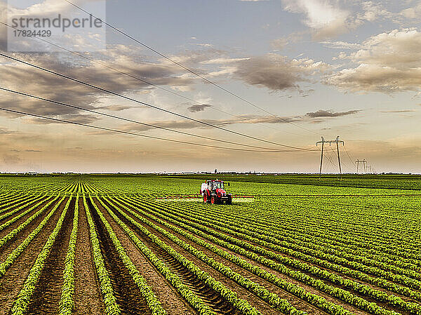 Insecticide spraying tractor on soybean crops under cloudy sky