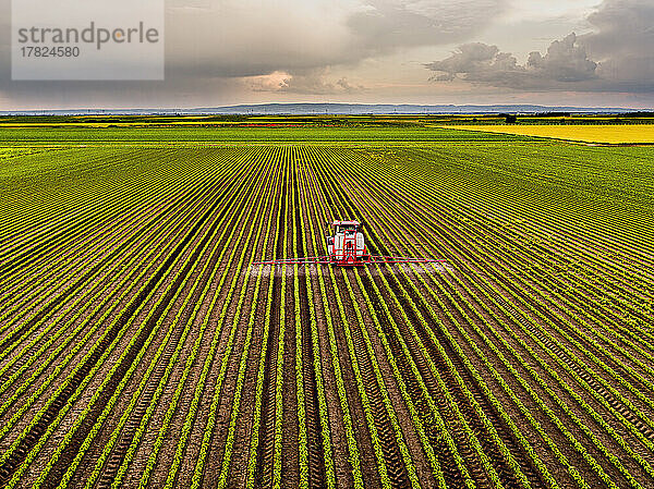 Tractor spraying pesticide on soybean field at sunset