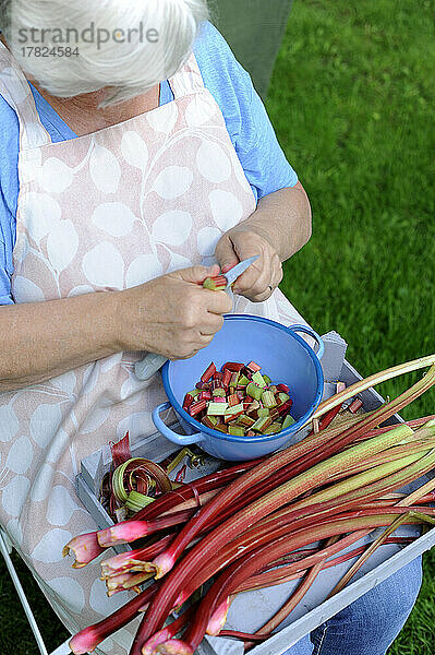 Senior woman peeling and cutting rhubarb stalks