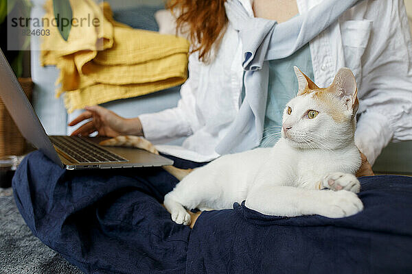 Geschäftsfrau benutzt Laptop und sitzt mit Katze auf dem Schoß im Heimbüro