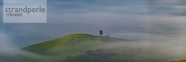 Italien  Toskana  Volterra  Panoramablick auf einen einzelnen Baum  der auf einem Hügel steht  eingehüllt in dicken Morgennebel