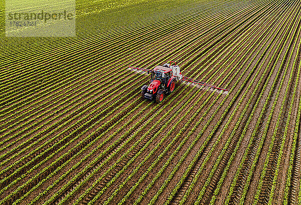 Traktor mit Feldspritze auf Sojabohnenfeld