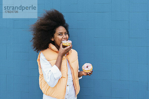Mädchen mit Afro-Frisur isst rosa Donuts und steht an der blauen Wand