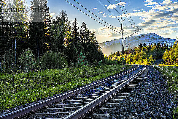 Schweden  Kreis Jämtland  Are  leere Eisenbahnschienen im Morgengrauen mit bewaldeter Landschaft im Hintergrund
