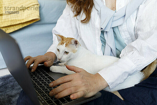 Freiberufler tippt am Laptop und sitzt zu Hause mit Katze auf dem Schoß