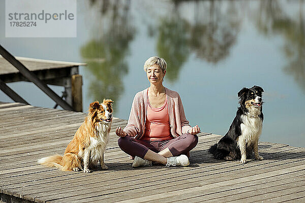 Reife Frau meditiert inmitten von Hunden am Pier