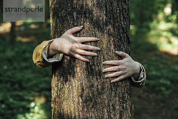 Hände einer Frau umarmen einen Baum im Wald