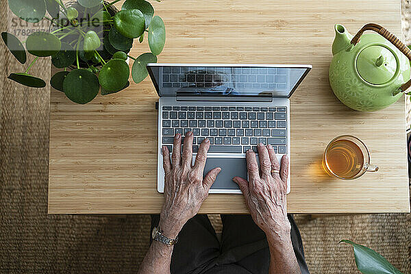 Hände einer Frau  die zu Hause einen Laptop benutzt