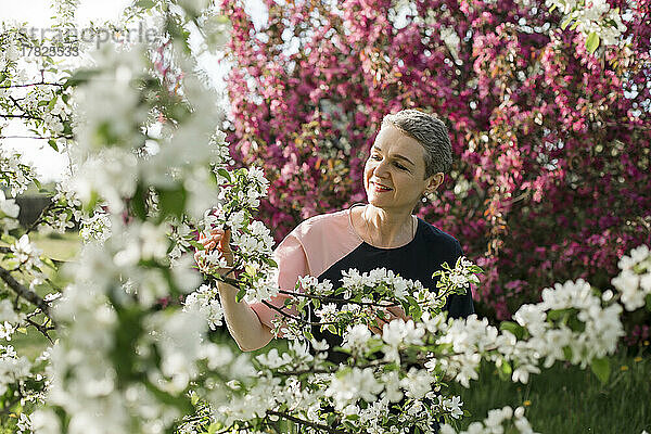 Lächelnde Frau blickt auf die weißen Blüten eines Apfelbaums im Garten