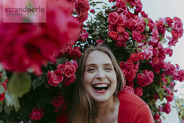 Fröhliche Frau genießt inmitten eines Rosenstrauchs