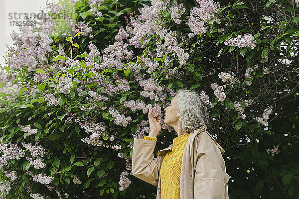 Frau mit kurzen Haaren duftet nach Blumen am Baum im Park