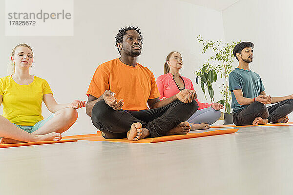 Männer und Frauen praktizieren Yoga im Lotussitz und meditieren im Gesundheitsstudio