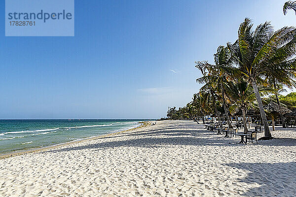 Weißer Sand am Diani Beach  Kenia  Indischer Ozean  Ostafrika  Afrika