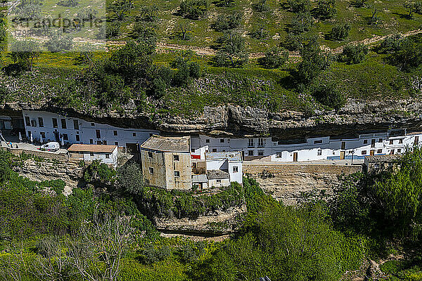 In Felsüberhänge gebaute Behausungen über dem Rio Guadalporcun  Setenil de las Bodegas  Andalusien  Spanien  Europa